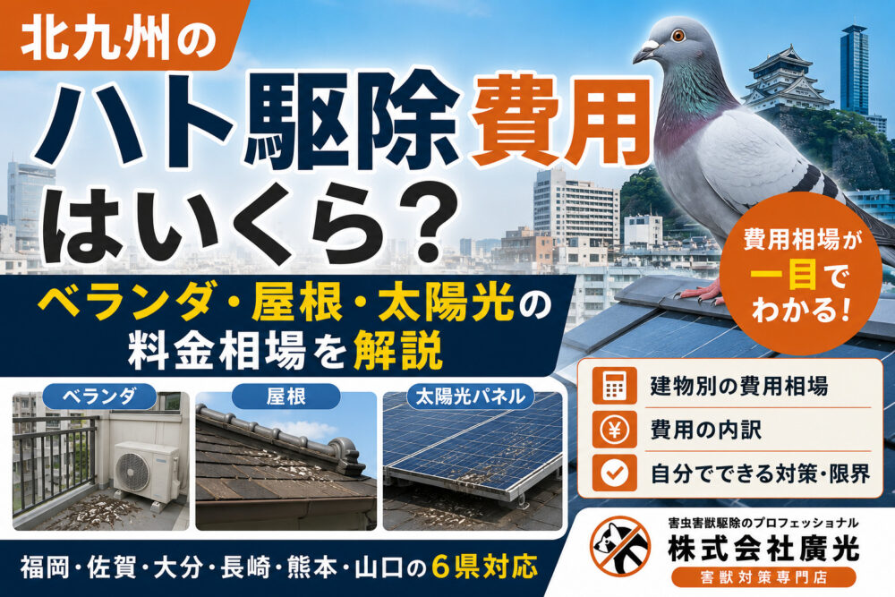 北九州のハト駆除費用はいくら？ベランダ・屋根・太陽光の料金相場を解説