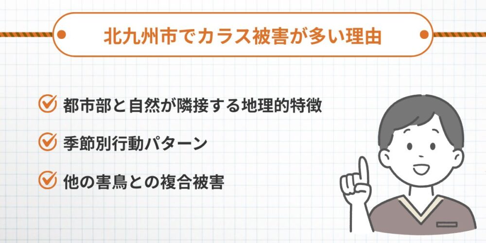 北九州市でカラス被害が多い理由