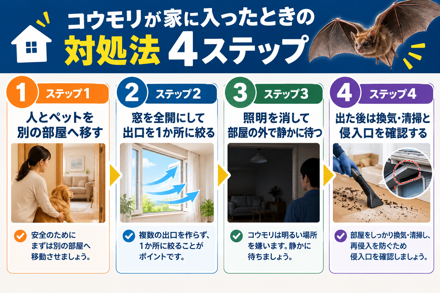 コウモリが家に入ったときの対処法4ステップ