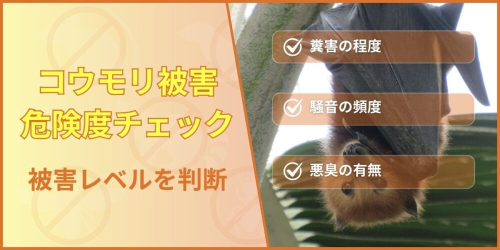 危険度チェック｜糞の量・騒音・悪臭で被害レベルを判断