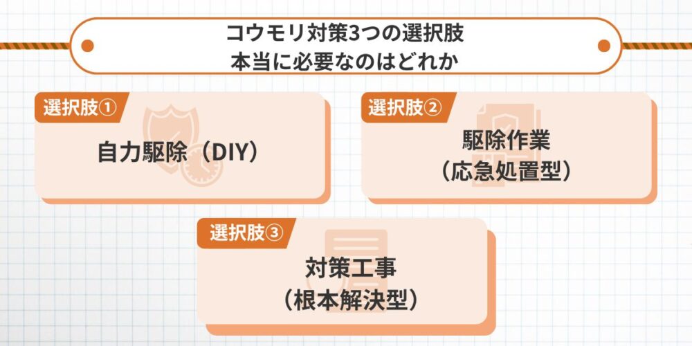 コウモリ対策3つの選択肢｜本当に必要なのはどれか