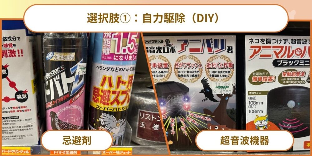 選択肢① 自力駆除（DIY）