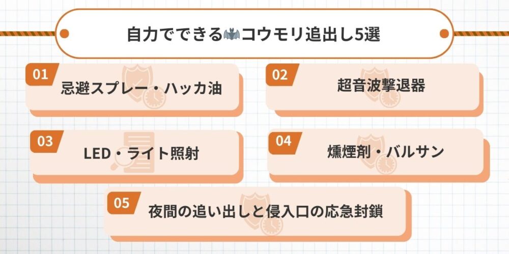 福岡コウモリ‐今すぐできる対策5選