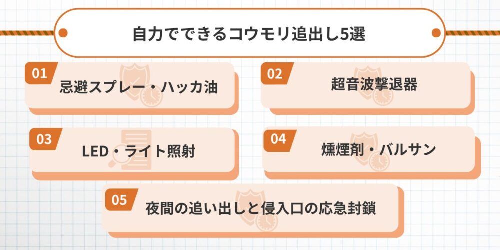 北九州コウモリ‐自力5つの方法