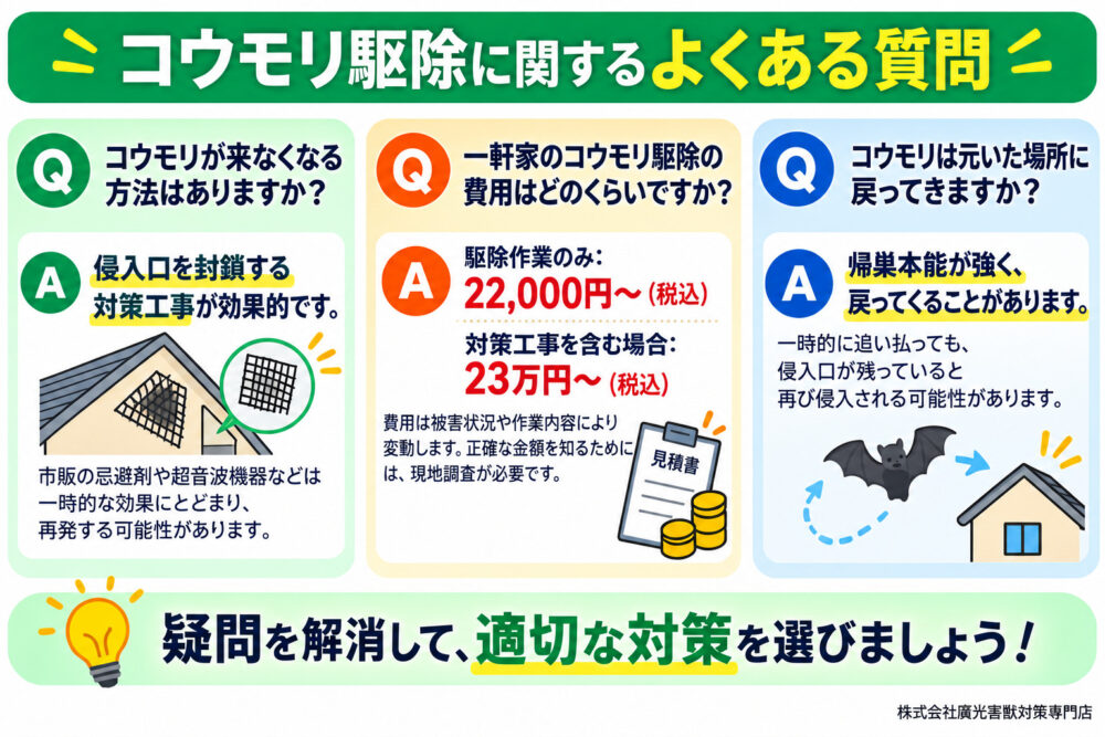 コウモリ駆除に関するよくある質問