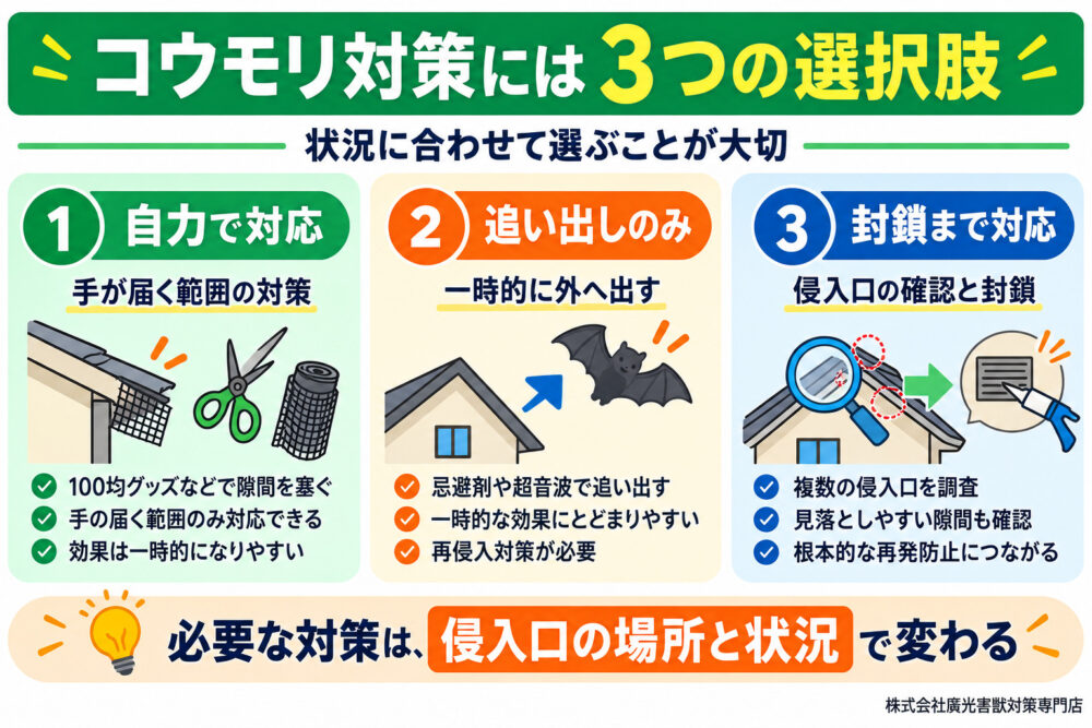 コウモリ対策には3つの選択肢|本当に必要なのはどれか