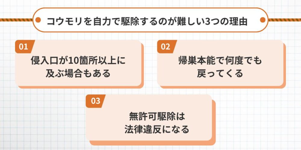 コウモリを自力で駆除するのが難しい3つの理由