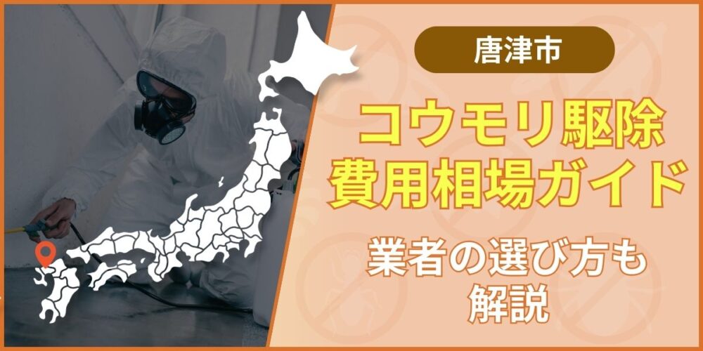 唐津市コウモリ駆除の費用相場と業者選び｜再発させない方法とは
