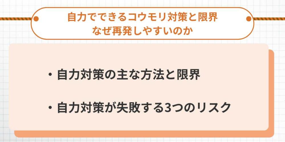 自力でできるコウモリ対策と限界｜なぜ再発しやすいのか