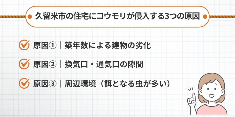 なぜ久留米市の住宅にコウモリが侵入するのか｜3つの主な原因
