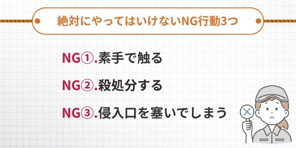 絶対にやってはいけないNG行動3つ｜鳥獣保護管理法に注意