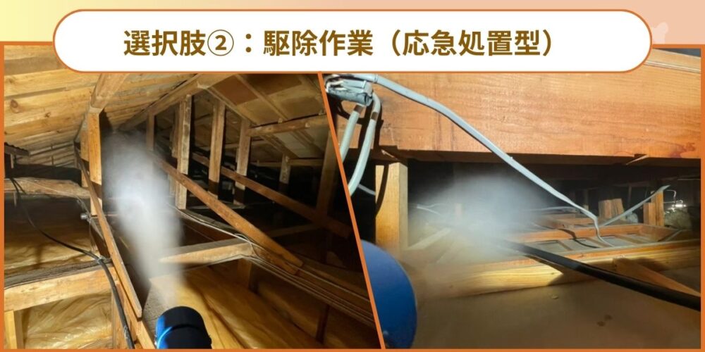 選択肢②：駆除作業（応急処置型）