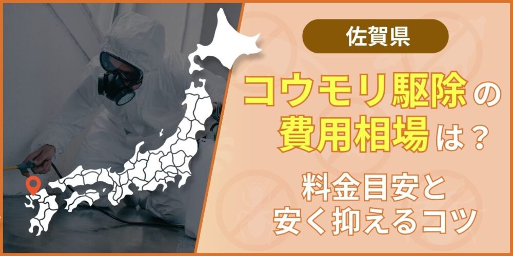 佐賀県コウモリ駆除の費用相場と業者選び｜失敗しない3つのポイントも解説