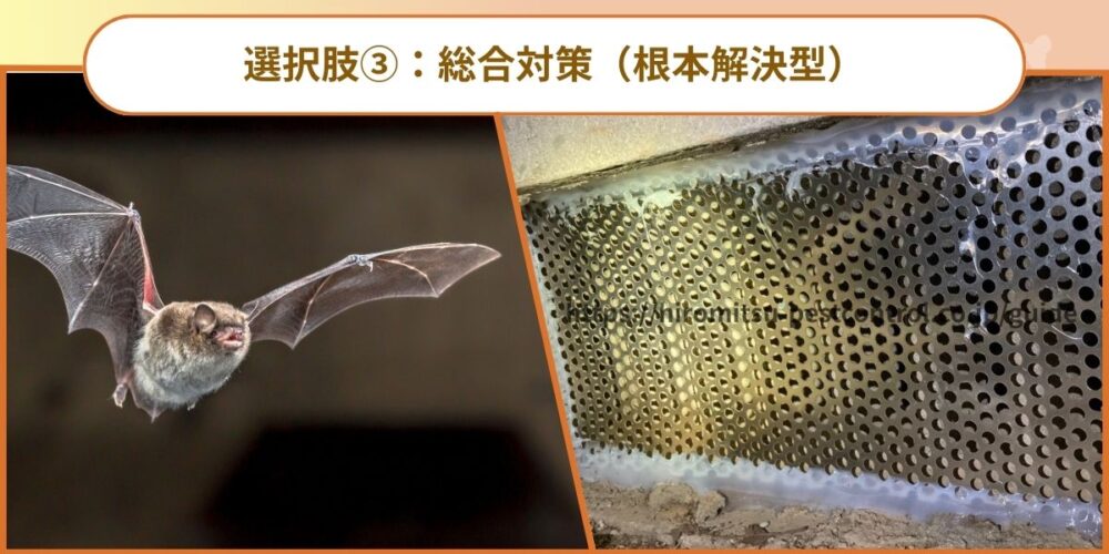 選択肢③：対策工事（根本解決型）