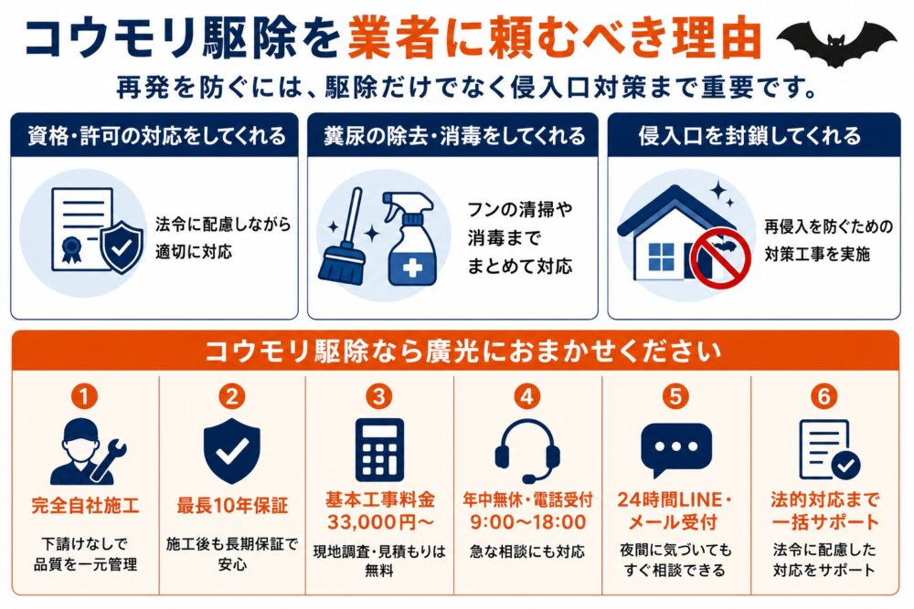 コウモリ駆除を業者に頼むべき理由