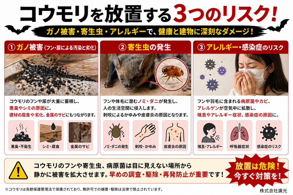 コウモリを放置する3つのリスク｜ガノ被害・寄生虫・アレルギー