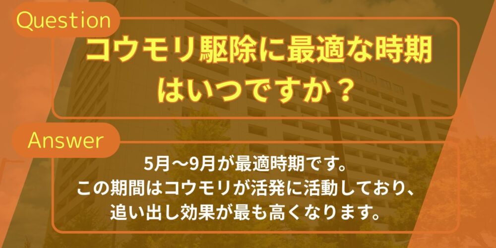 コウモリ駆除に最適な時期はいつですか？