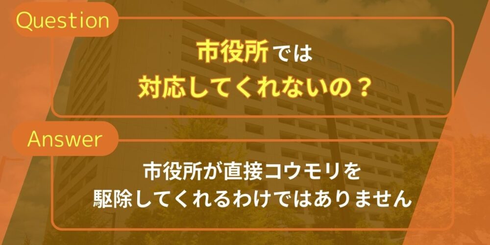 市役所では対応してくれないの？
