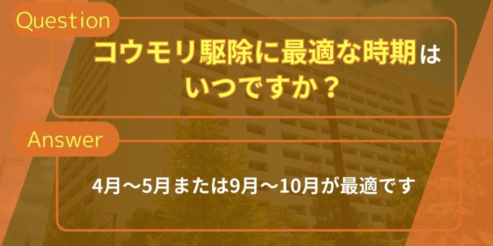 コウモリ駆除に最適な時期はいつですか？