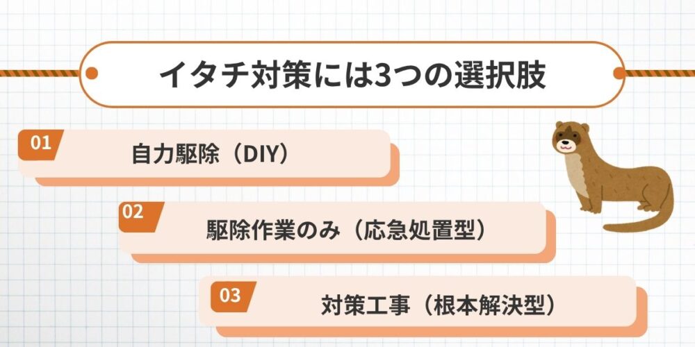 3つの選択肢