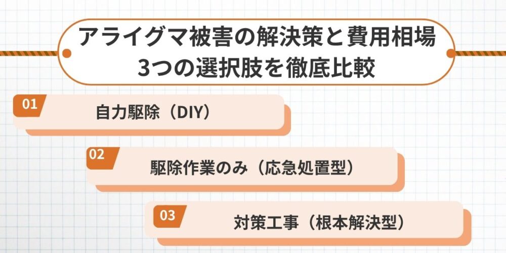 アライグマ被害の解決策と費用相場｜3つの選択肢を徹底比較