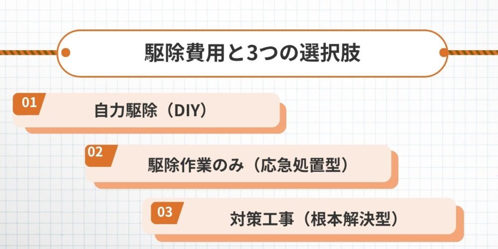 コウモリ対策の3つの選択肢｜再発率・長期コストで比較