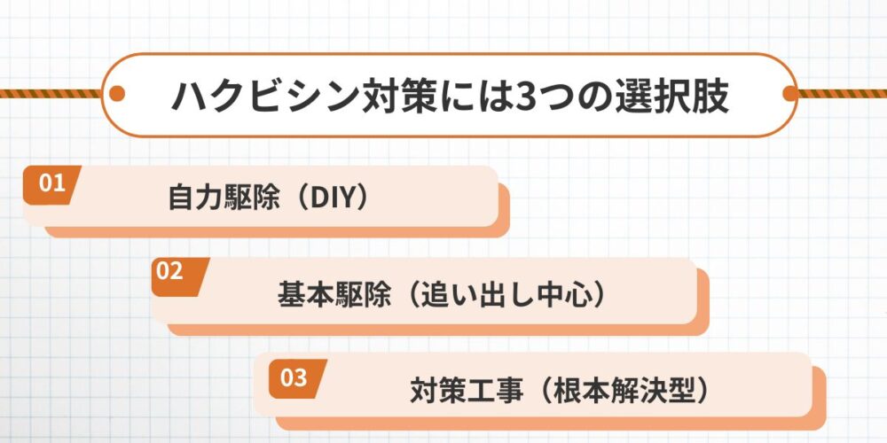 ハクビシン対策には3つの選択肢│長期的に賢いのはどれ?