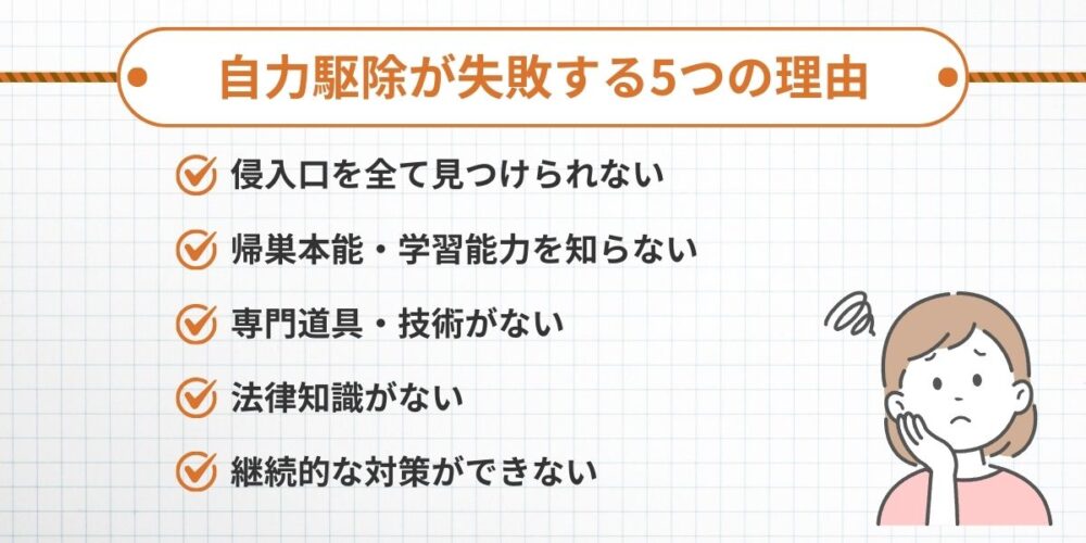 自力駆除が失敗する5つの理由