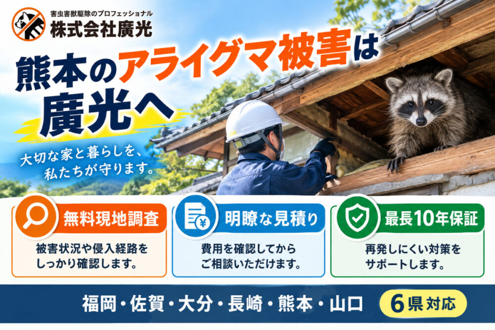 熊本のアライグマ駆除は株式会社廣光にお任せください