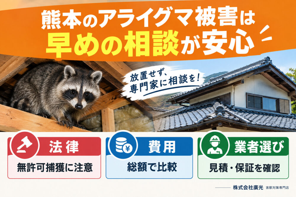 まとめ|熊本のアライグマ被害は早期対応が鍵