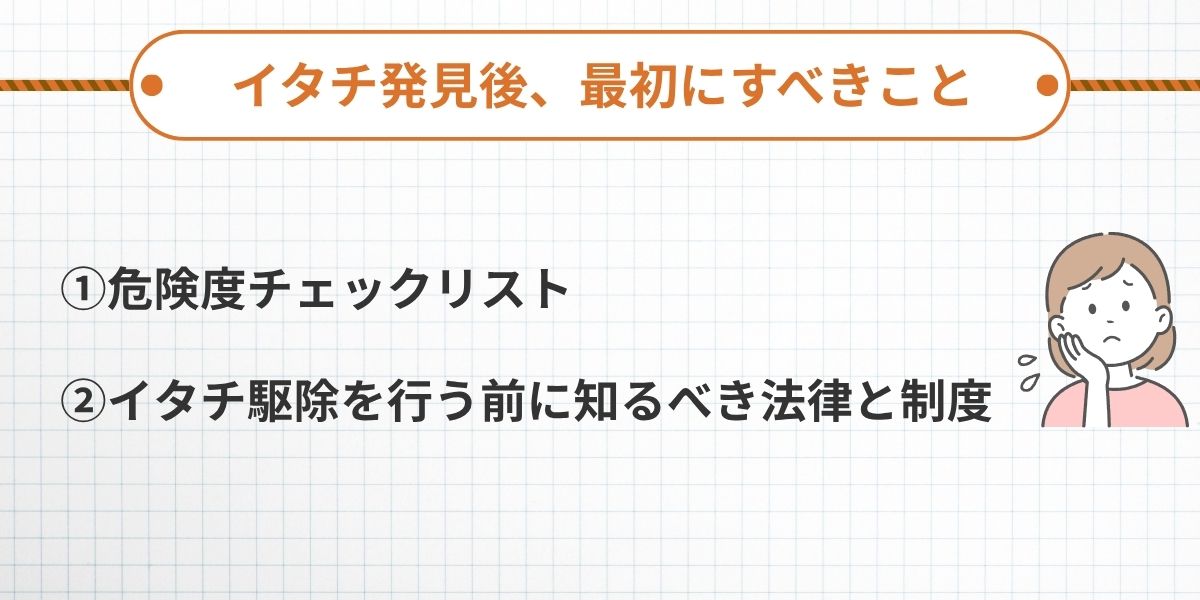 イタチ発見度に最初にすべきこと