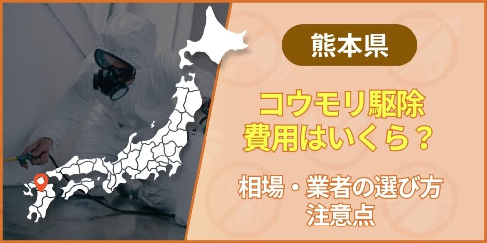熊本のコウモリ駆除費用はいくら？相場・業者の選び方・注意点を解説