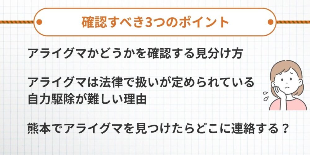 アライグマを発見したら、まず確認すべき3つのポイント