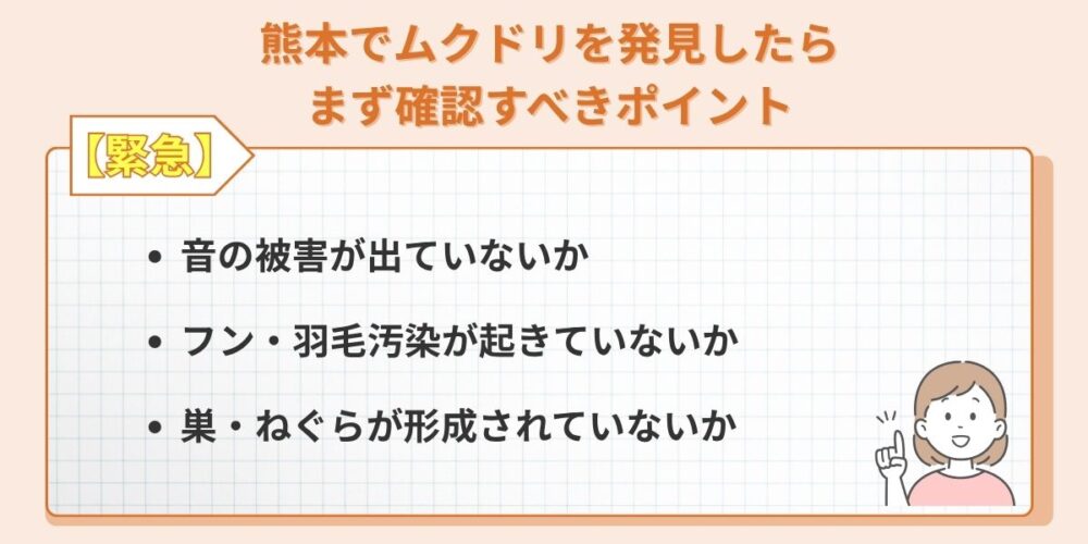 熊本でムクドリを発見したらまず確認すべきポイント