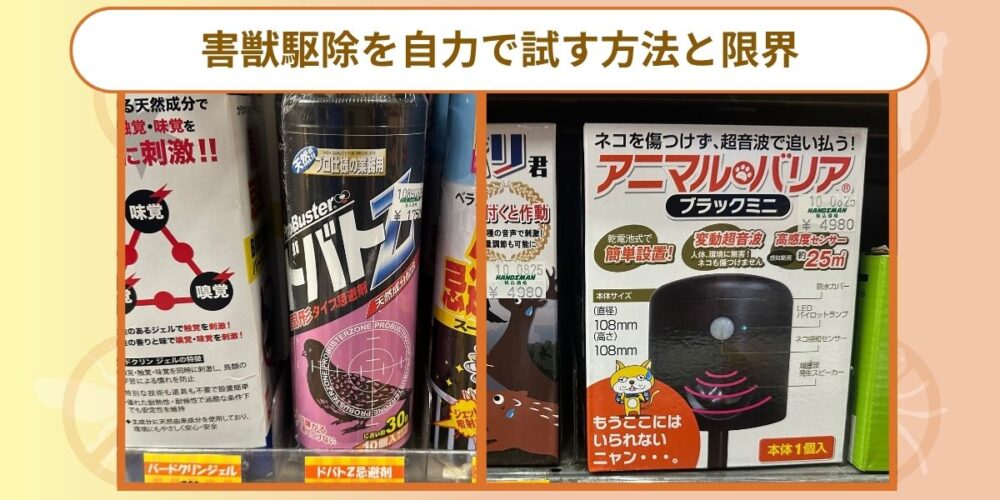 害獣駆除を自力で試す方法と限界