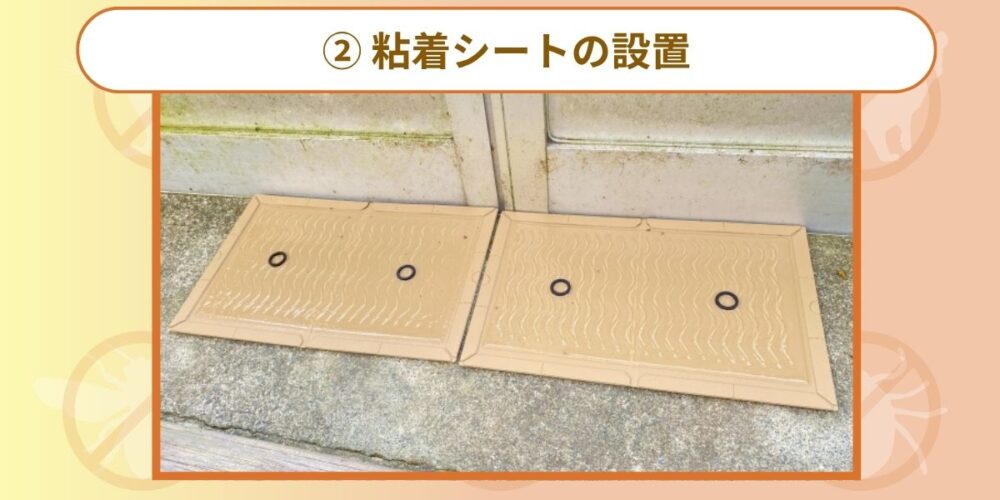 クマネズミ 粘着シート