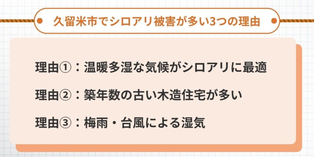 久留米市でシロアリ被害が多い3つの理由