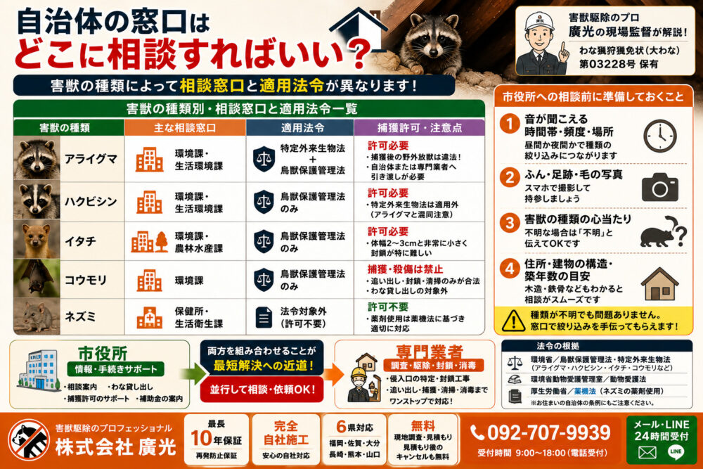 自治体の窓口はどこに相談すればいい?害獣別の相談先一覧