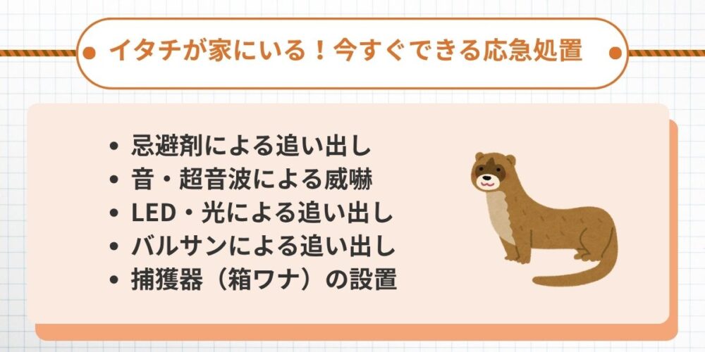 今すぐできる応急処置