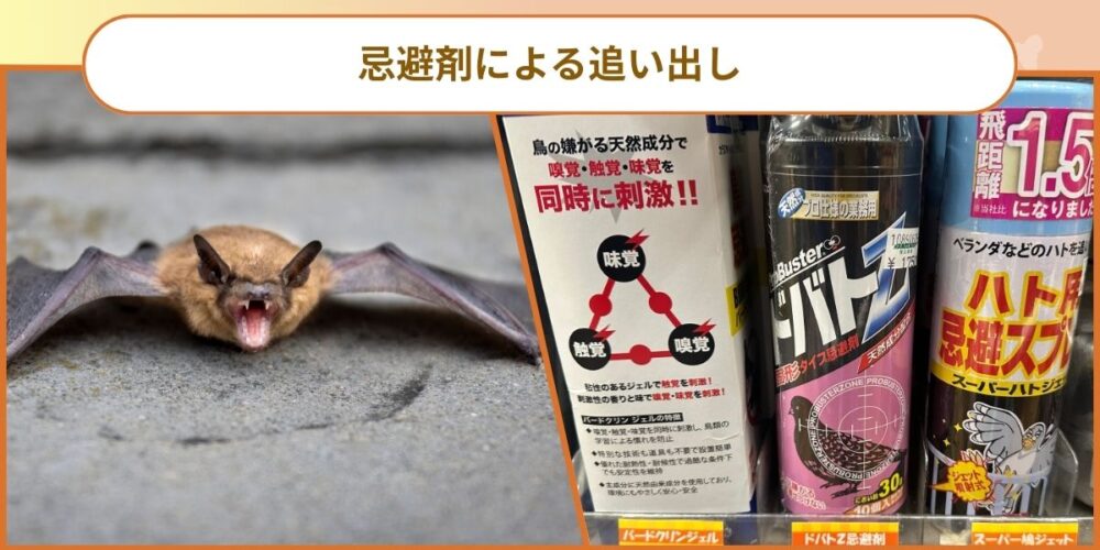 福岡コウモリ‐忌避スプレー