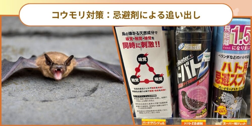 北九州コウモリ‐忌避剤による追い出し