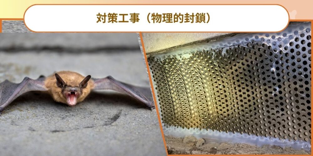 北九州コウモリ‐ステップ4封鎖