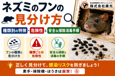 ネズミのフンの見分け方｜種類別の特徴・危険性と安全な掃除消毒手順