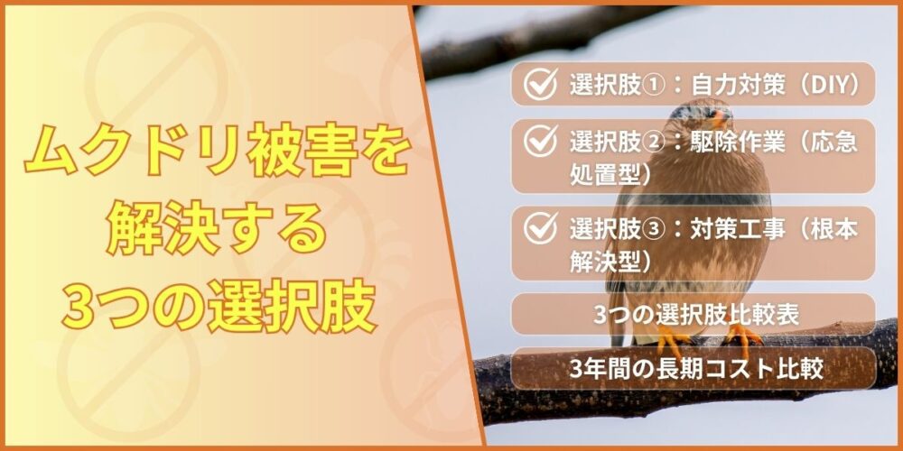ムクドリ被害を解決する３つの選択肢