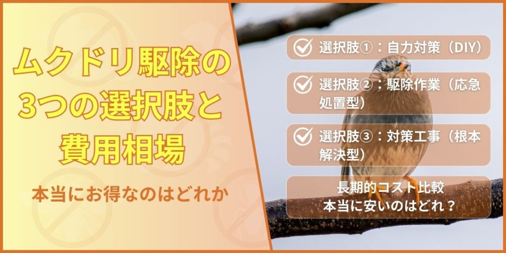 ムクドリ駆除の3つの選択肢と費用相場｜本当にお得なのはどれか