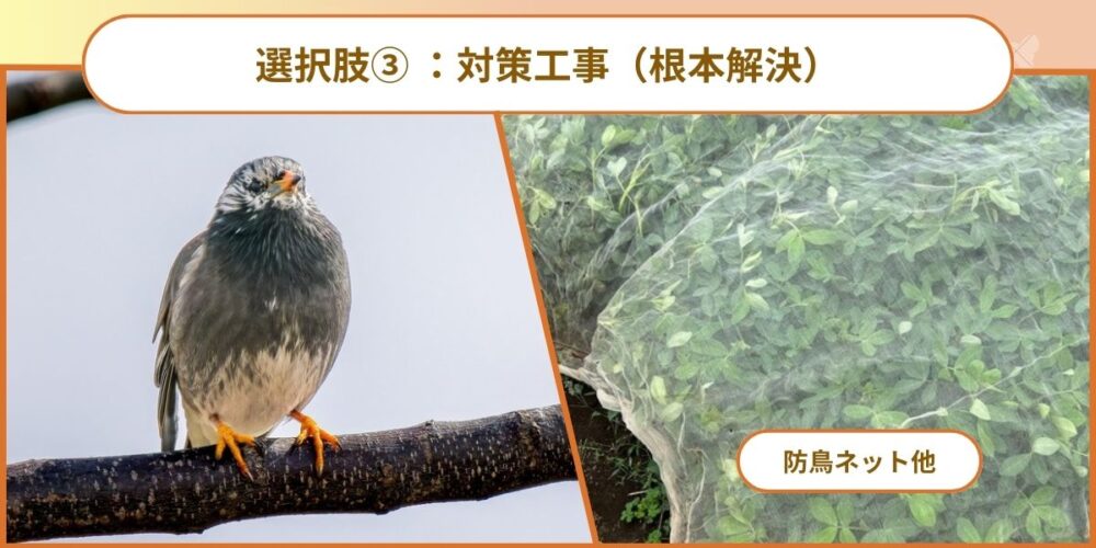 選択肢③ 対策工事（根本解決）★おすすめ