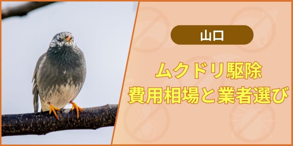 ムクドリ駆除の費用相場と業者選び