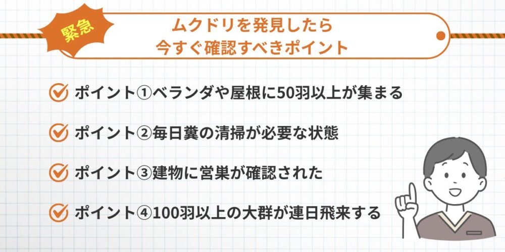 【緊急】福岡でムクドリの被害を発見したらまず確認すべきポイント