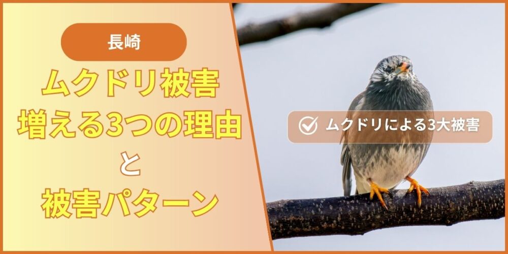 長崎でムクドリ被害が増える3つの理由と被害パターン