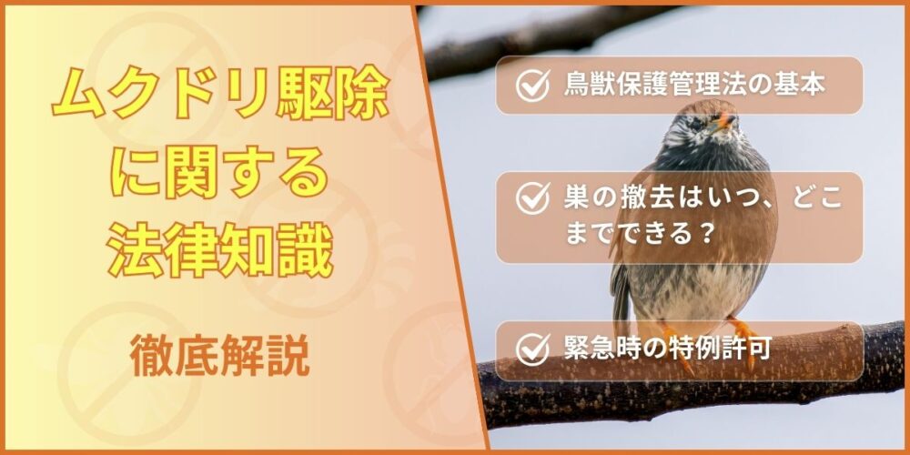 ムクドリ駆除に関する法律知識を徹底解説